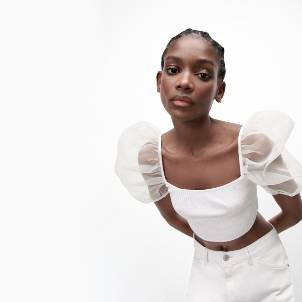 Zara Sheer Puff Sleeves Top with Organza Inserts